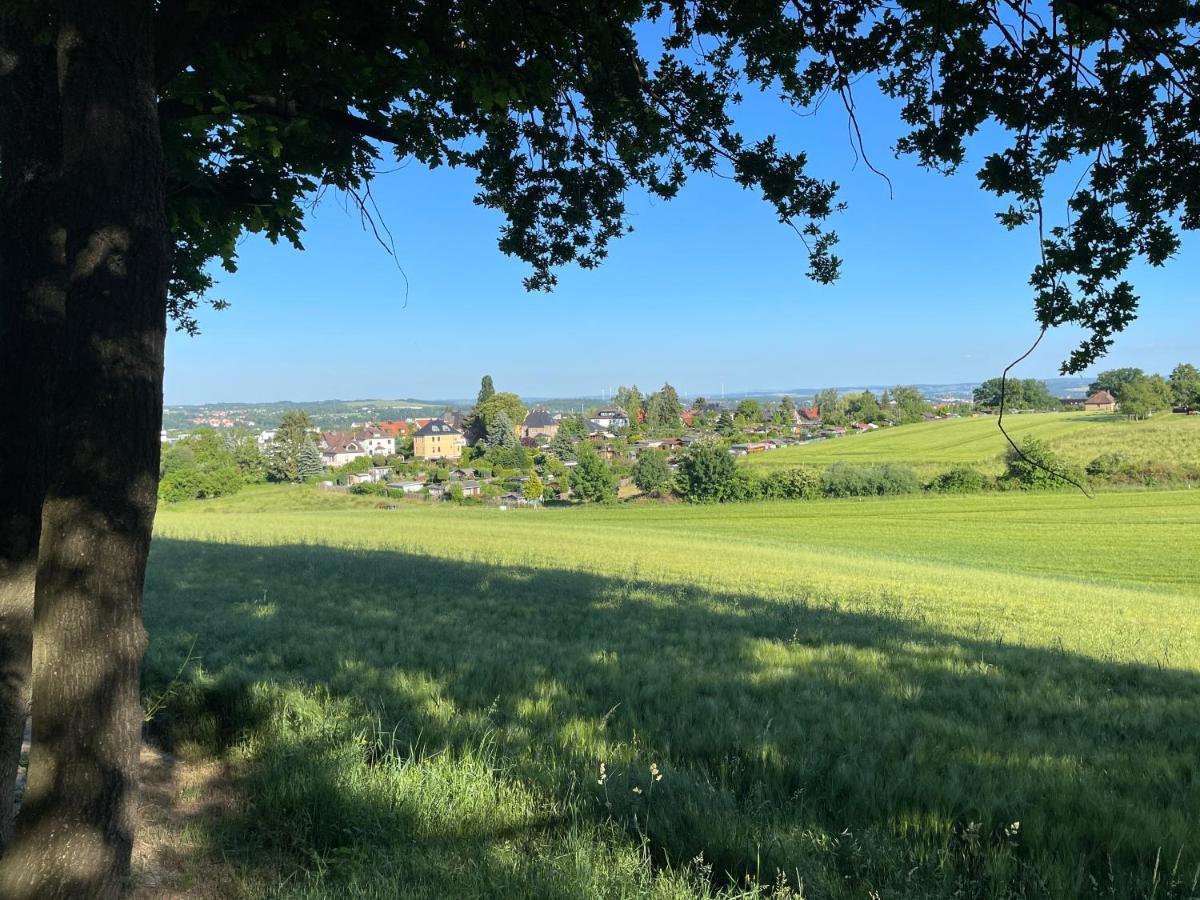 "Glueck Auf" Lichtdurchflutete Schicke Ferienwohnung In Zwickau Bagian luar foto